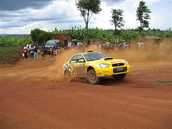 Illustration for article titled Death at the Mountain Gorilla Rally